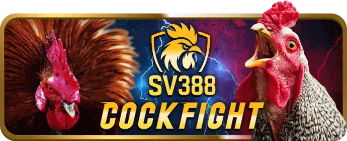 Bàn chơi Live Casino với người chia bài thật